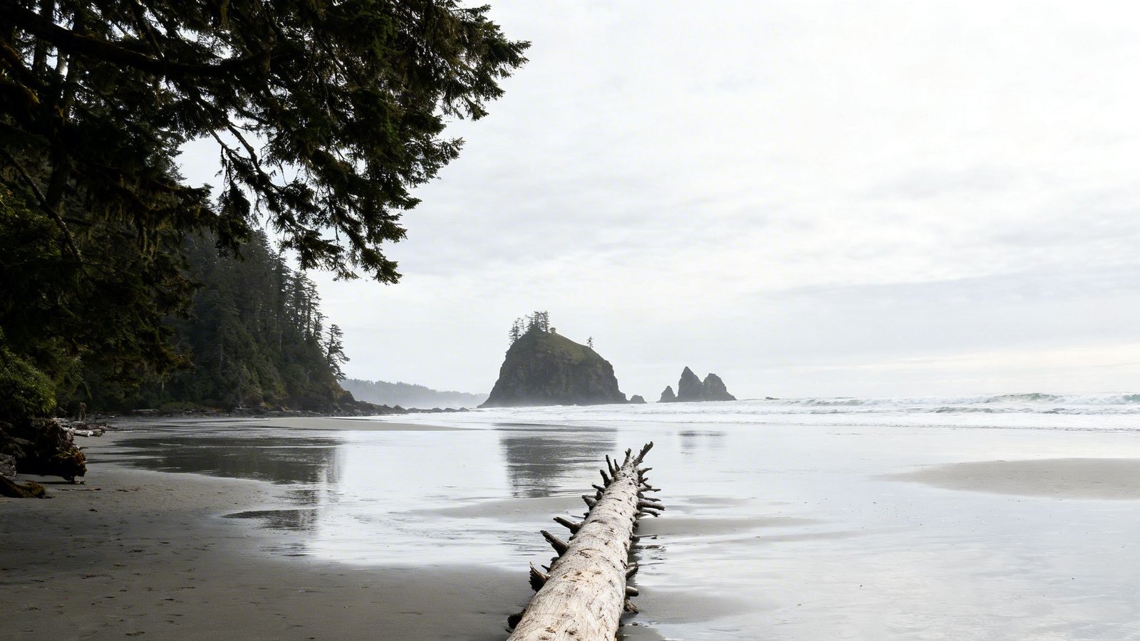A large log on a sandy beach leads to rugged sea stacks and a dark, forested coastline under an overcast sky.